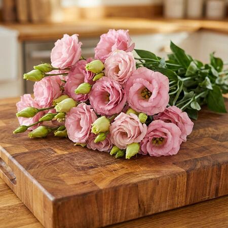 Rosita 2 Pink Flash, (F1) Lisianthus Seeds - Packet image number null